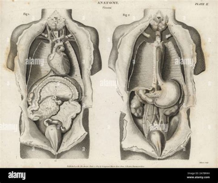 Tarrare Autopsy: A Medical Enigma Explored