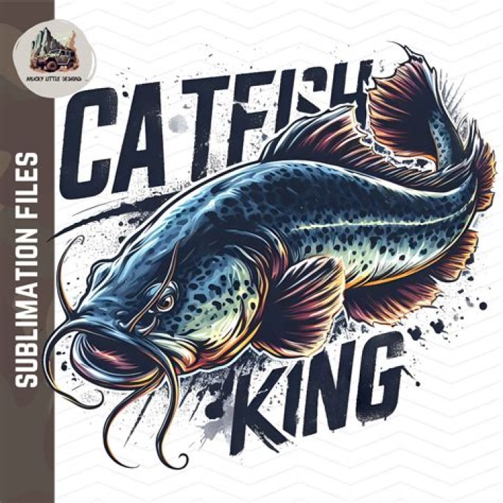 The Catfish King's Wealth Exposed