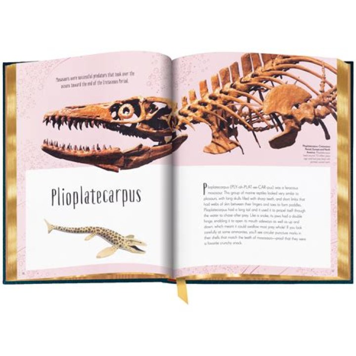 The Complete Guide To Amanda Seales' Sibling Situation