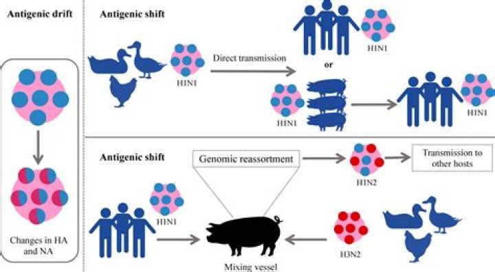 The Drift And Traders' Dilemma