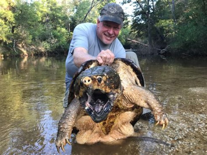 The Early Life, Wealth, And Family Behind The Alligator King
