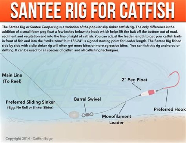 The Essential Guide To Catfish, Dey, And Cody