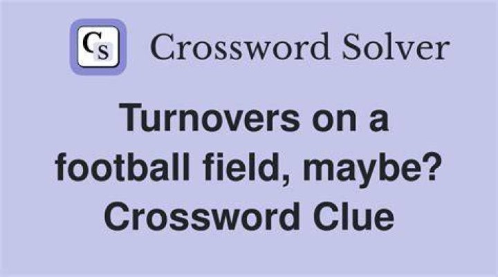 Turnovers on a football field, maybe? Crossword Clue NYT 10 letters