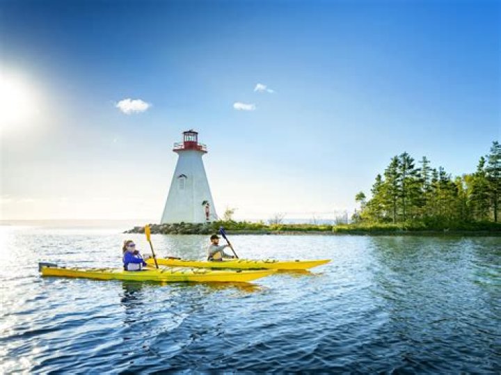 Uncover Shaq's Towering Stature: Exploring His Impressive Height
