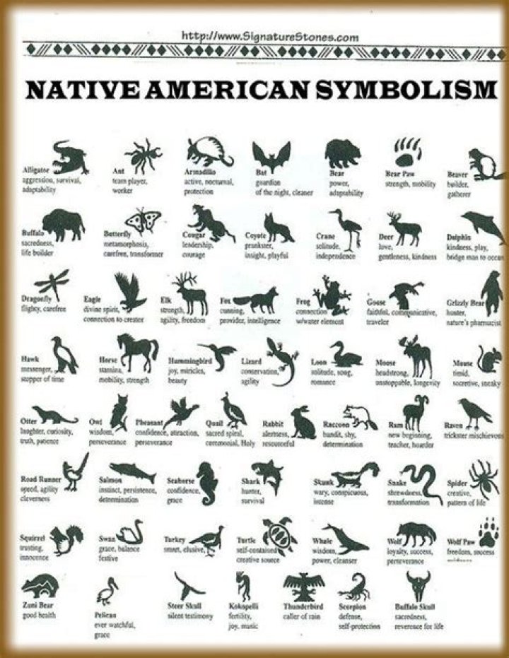 Uncovering The Meaningful Symbolism Of Native American Birds