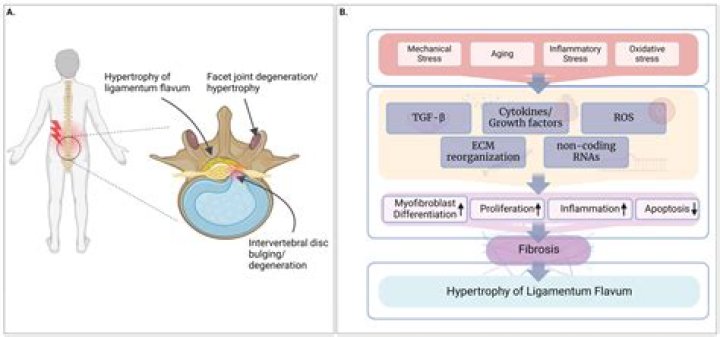 Unraveling The Mystery And Uncovering Surprises