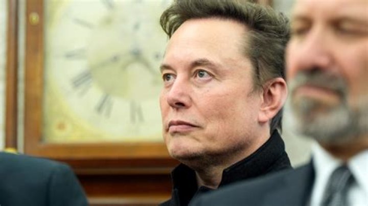 Unveiling Elon Musk's Roots: Discoveries That Will Astonish