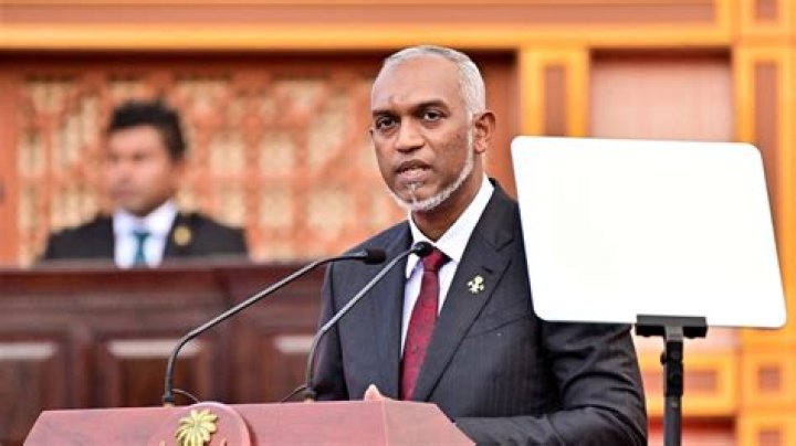 Unveiling The Complexities Of Dennis Rodman's Marriages: Discoveries And Insights