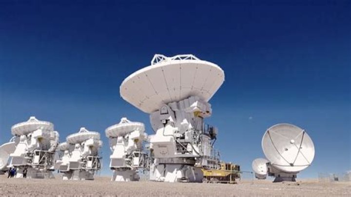 Unveiling The Secrets Of Baywatch Movie Actors: Discoveries And Insights