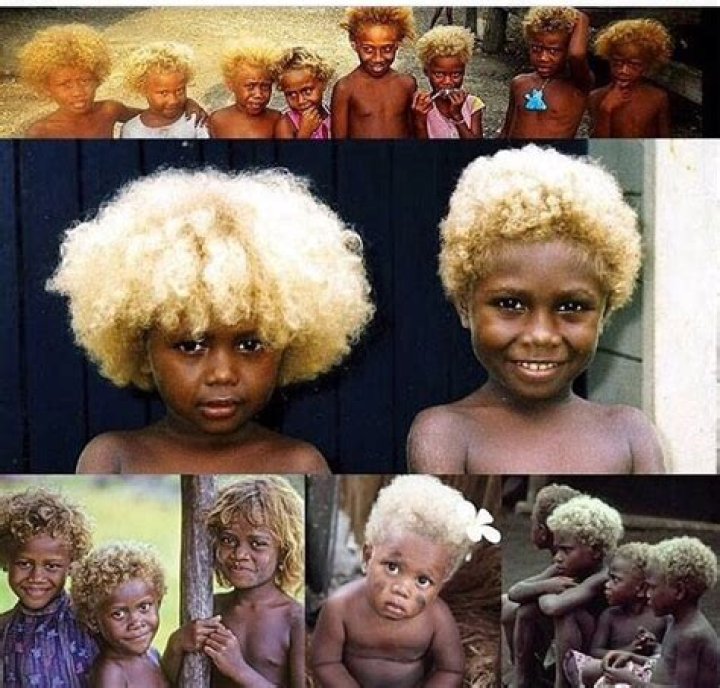 Unveiling The Unique Beauty And Identity Of Blonde African Americans