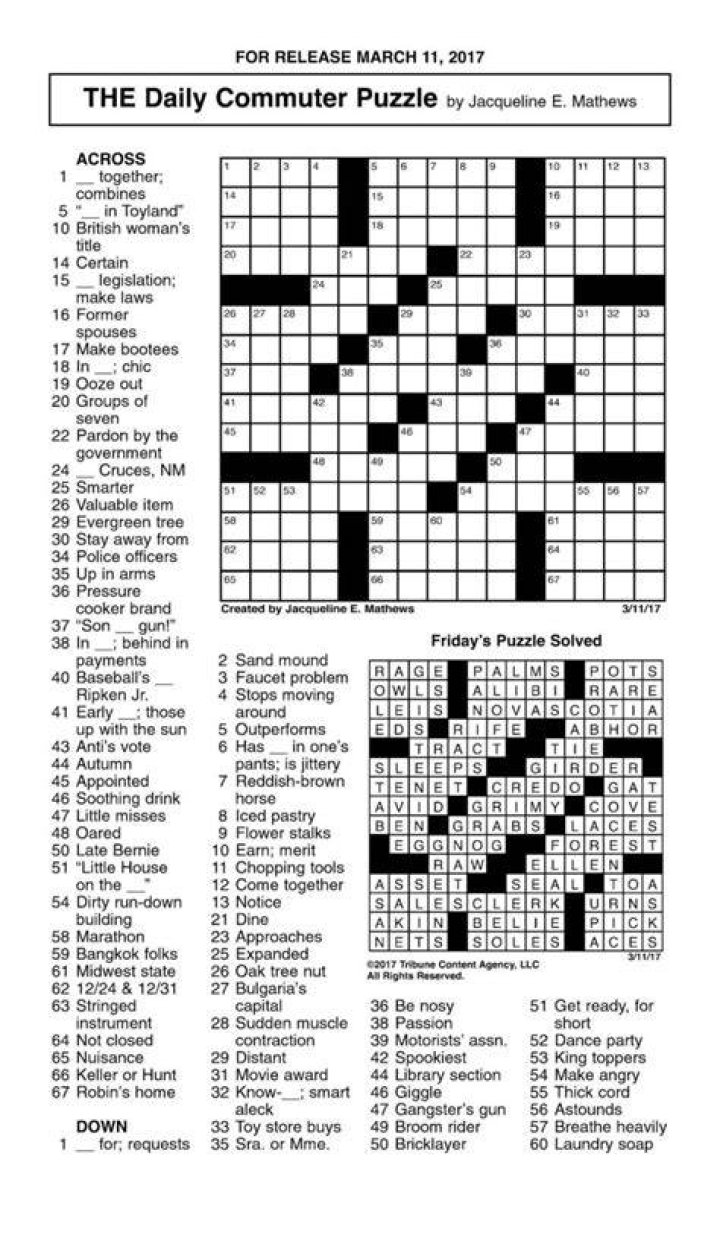 Using few words Daily Commuter Crossword Puzzle Answers