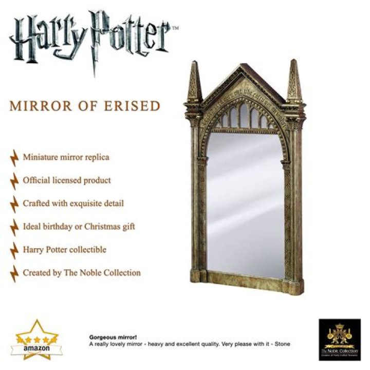 What does Hermione see in the Mirror of Erised?