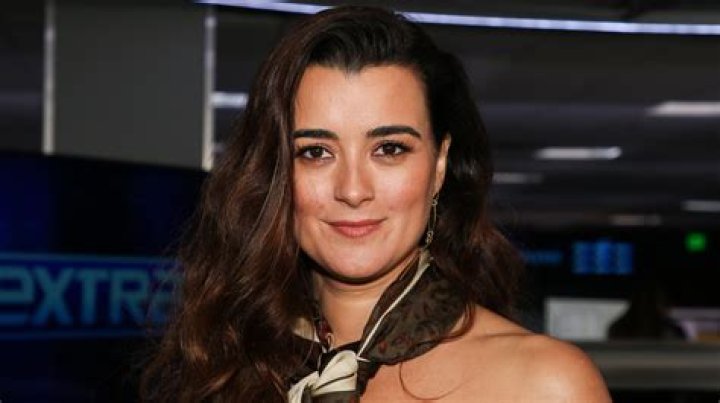 Cote De Pablo's Latest Projects And Endeavors Revealed