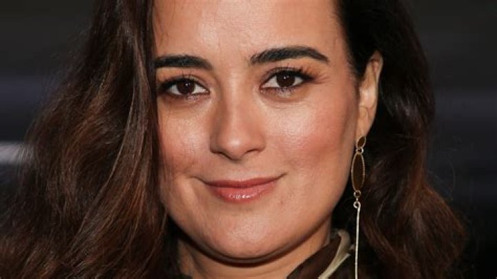 Cote De Pablo's Whereabouts And Endeavors