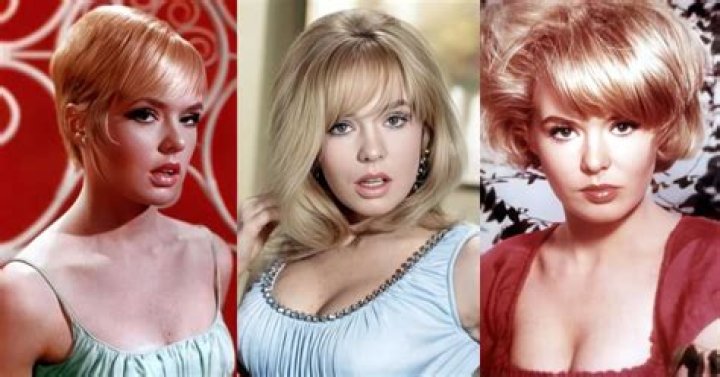 The Journey Of Joey Heatherton: A Current Look