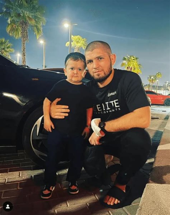 Uncovering Family, Culture, And Social Impact